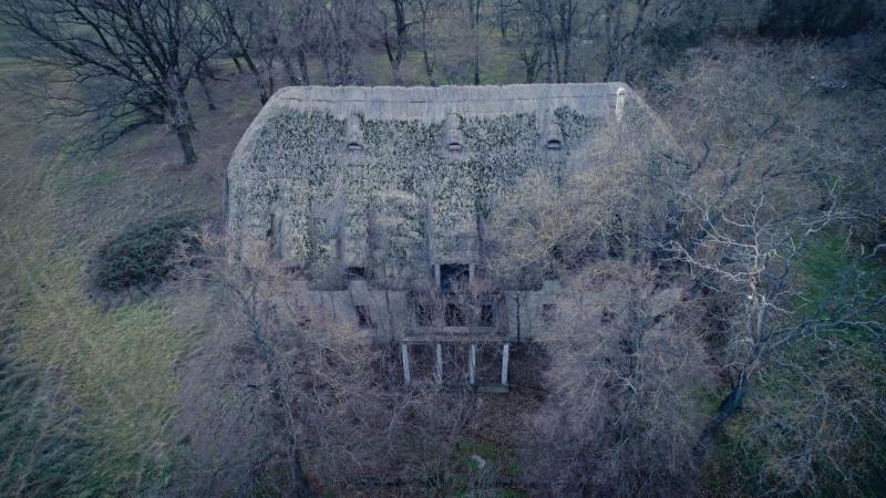 Kísérteties szépség – a természet már régóta birtokba vette a Janitsáry-Szávits-kúriát. Az épület falai között a múlt titkai suttognak, míg a fák és növények átfonják a romos struktúrákat, mintha a természet próbálná visszaszerezni, ami egykor az övé volt
