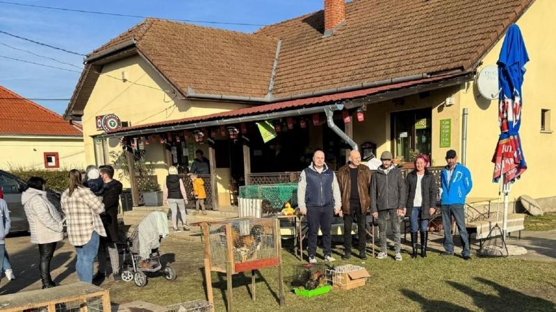 ZAOL - Kakasszépségversenyt rendeznek a zalai településen, ahol a legszebb kakasok mérik össze szépségüket és fenségességüket. Az esemény célja, hogy megtalálják az ország legkiválóbb kakasát, miközben a helyi közösség is ünnepli a mezőgazdasági hagyomány