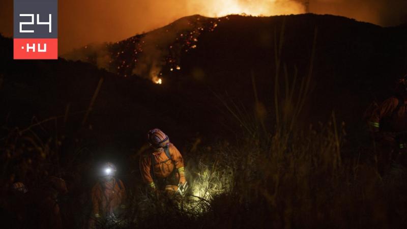 Zelenszkij tűzoltókat tervez küldeni a Los Angeles környékén pusztító tüzekhez, hogy segítsenek a lángok megfékezésében és a helyi közösségek védelmében.