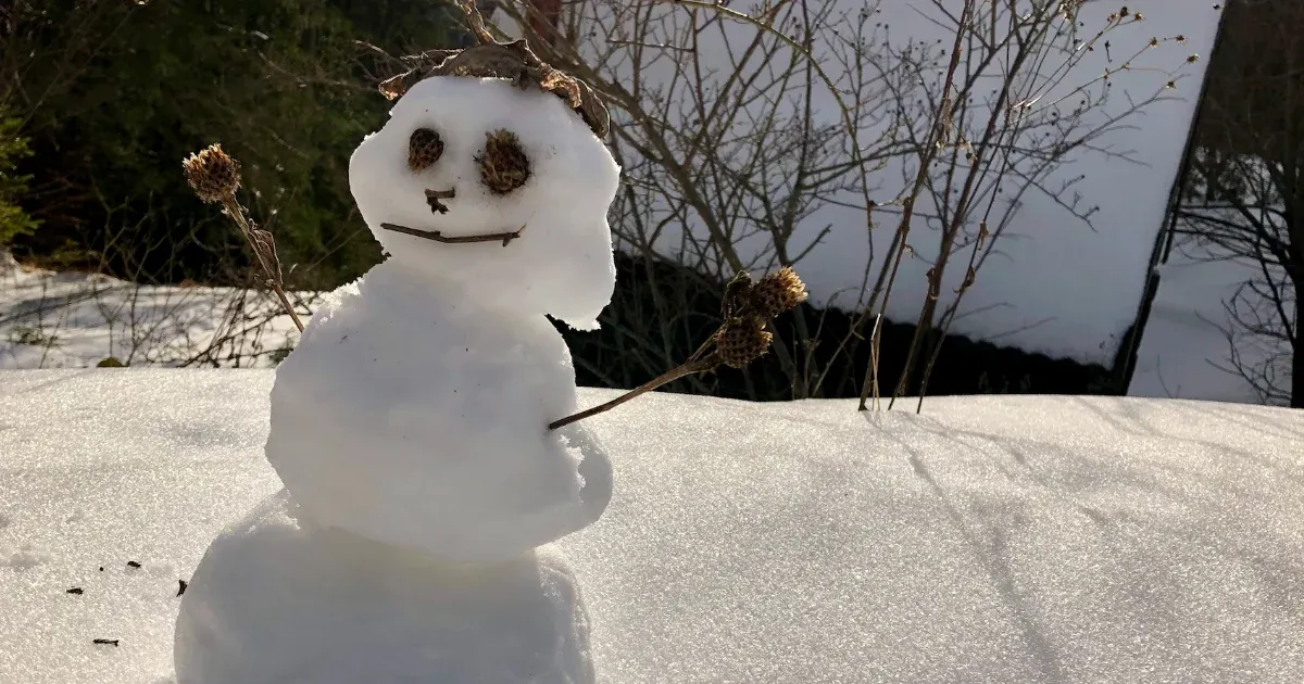 Február első hetében akár mínusz 10 fokra is lecsökkenhet a hőmérséklet.