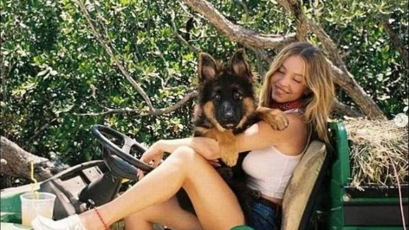 Sydney Sweeney kutyája is 
