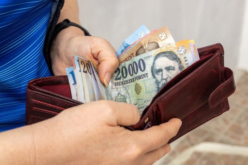 Minden harmadik magyar esetében a fizetés értéke csökkent az elmúlt évhez képest - Üdvözlet Magyarországon!