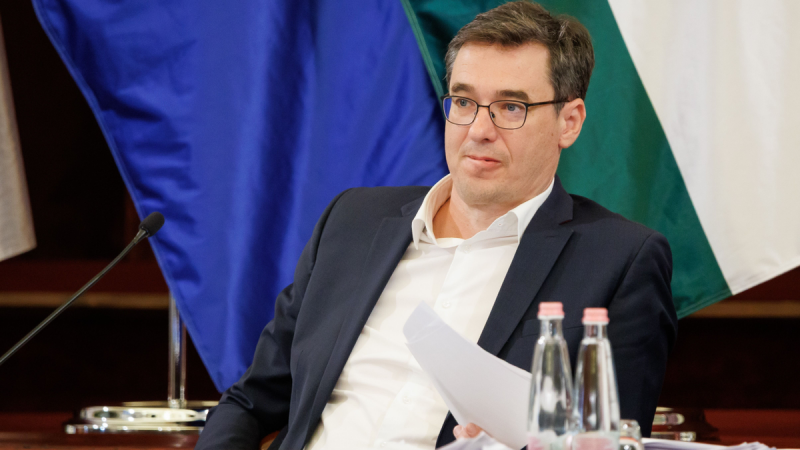 Nincs lejjebb: Karácsonyi hangulat Budapest utcáin már a villamoson is patkányok szaladgálnak - videó.