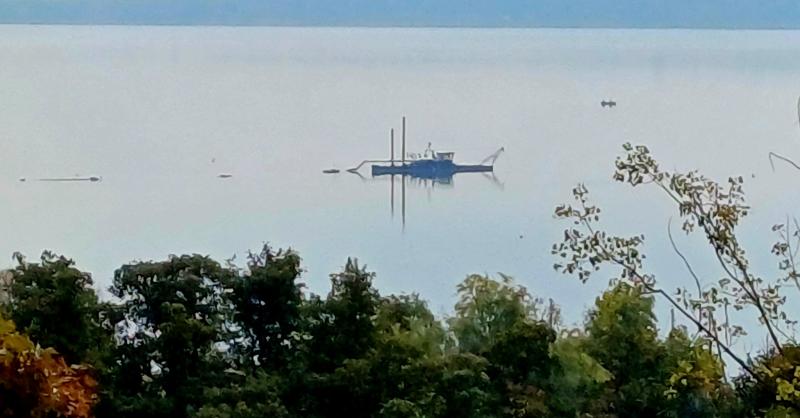 Videó: Egy különös lény tűnik fel a Balaton vizén!