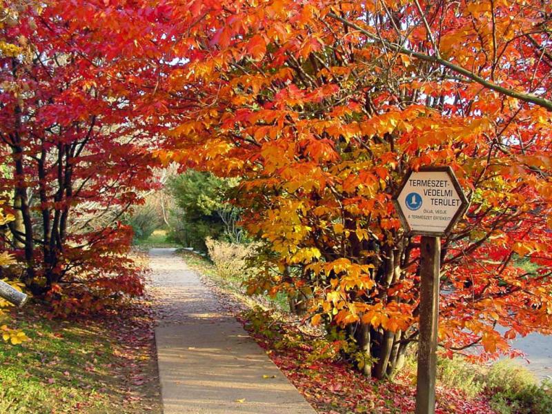 Az egész hétvége folyamán kellemesen meleg idő vár ránk.